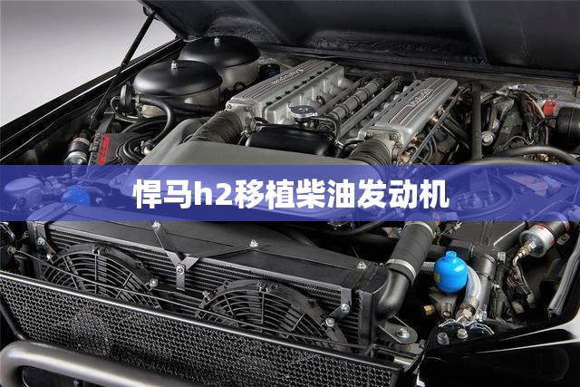 悍马h2移植柴油发动机(悍马改装柴油发动机)