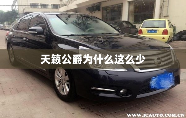 天籁公爵为什么这么少