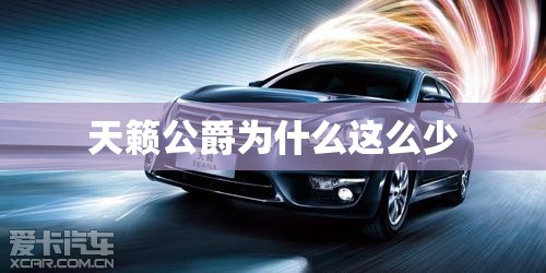 天籁公爵为什么这么少