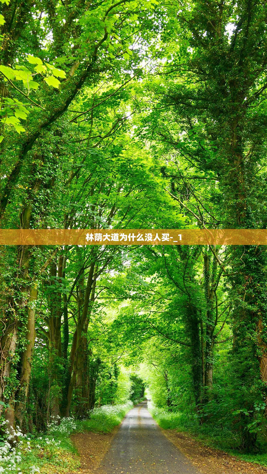 二手车宝马x6费用及图片/二手宝马x6多少钱2021款
