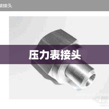 【压力表接头,压力表接头怎么接】