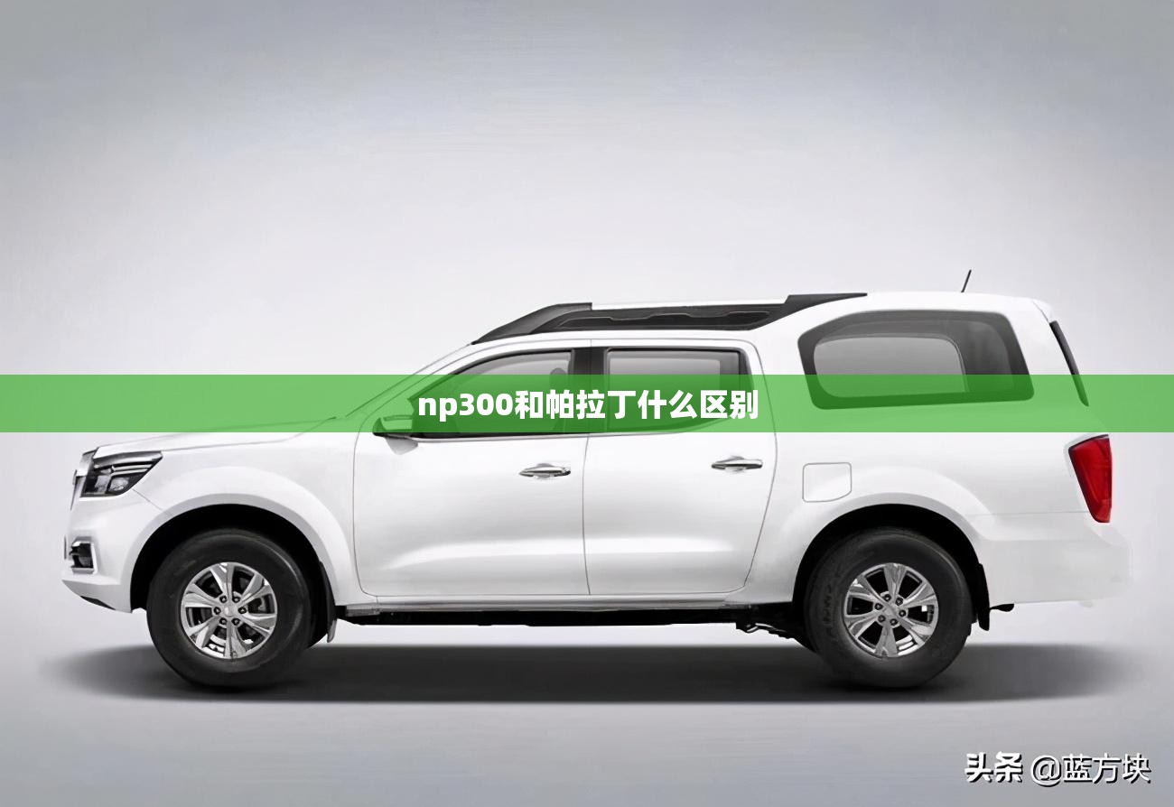 np300和帕拉丁什么区别