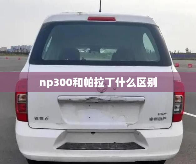 np300和帕拉丁什么区别