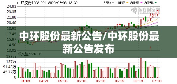 中环股份最新公告/中环股份最新公告发布 中环股份最新公告/中环股份最新公告发布