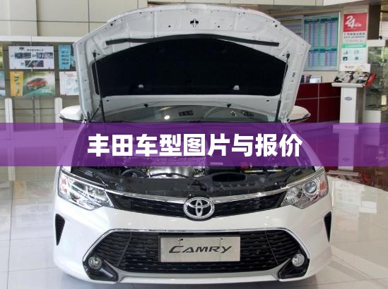 丰田车型图片与报价(丰田车型大全图片费用 报价) 丰田车型图片与报价(丰田车型大全图片费用 报价)