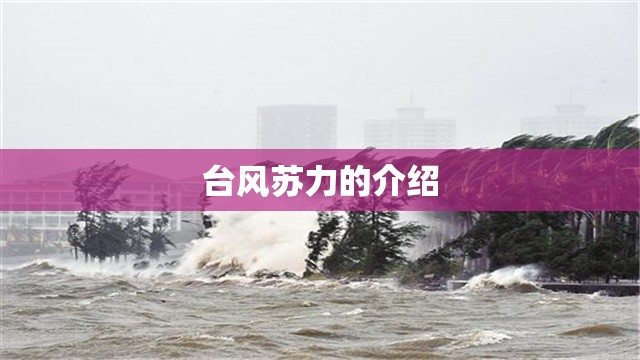 【h型钢理论重量表,莱钢h型钢理论重量表】