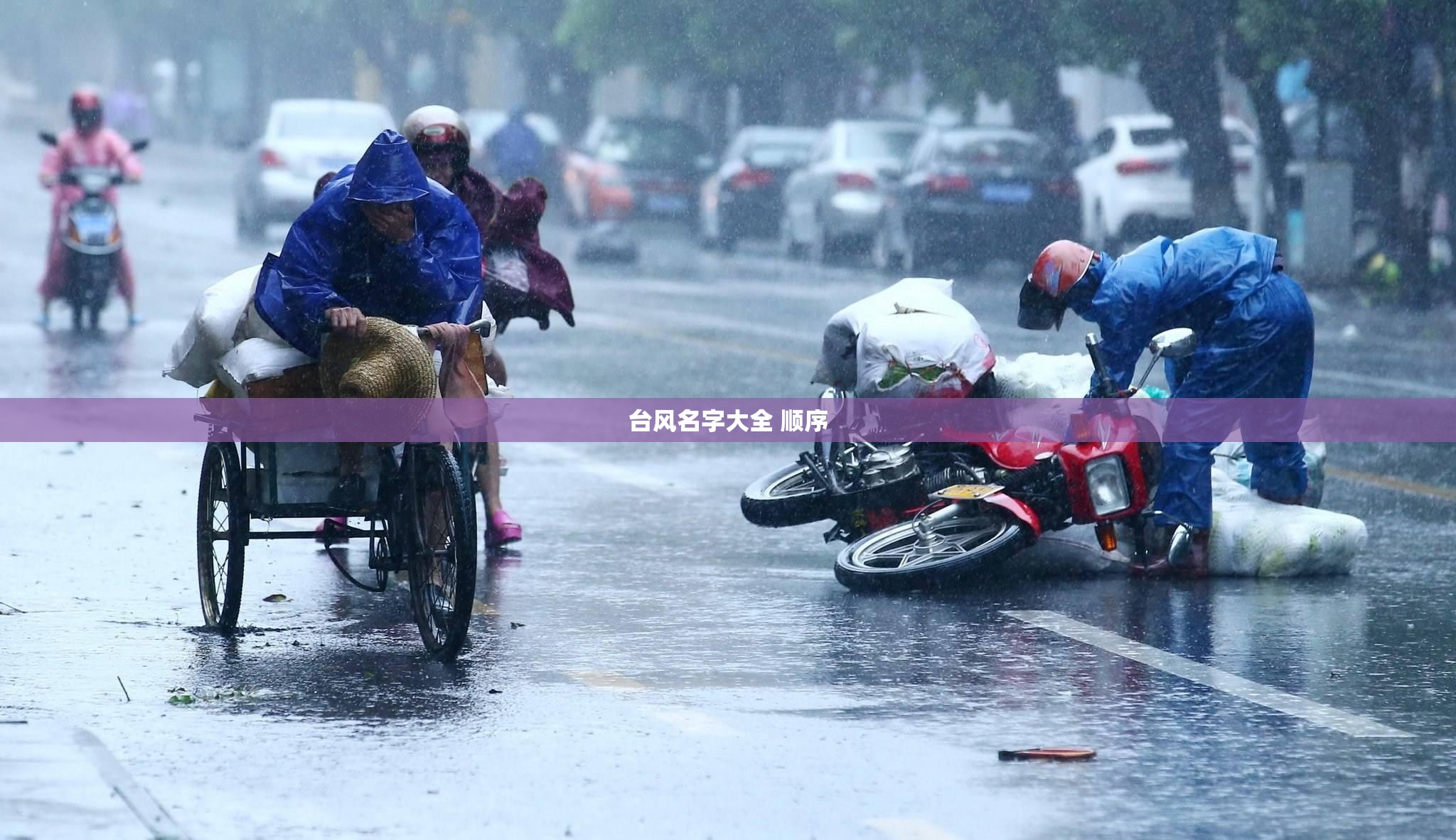 台风名字大全 顺序