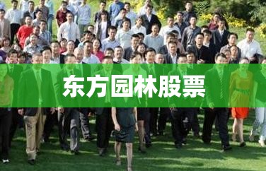 东方园林股票/东方园林股票比较高价是多少