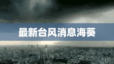 瑞风M37座落地价是多少钱？