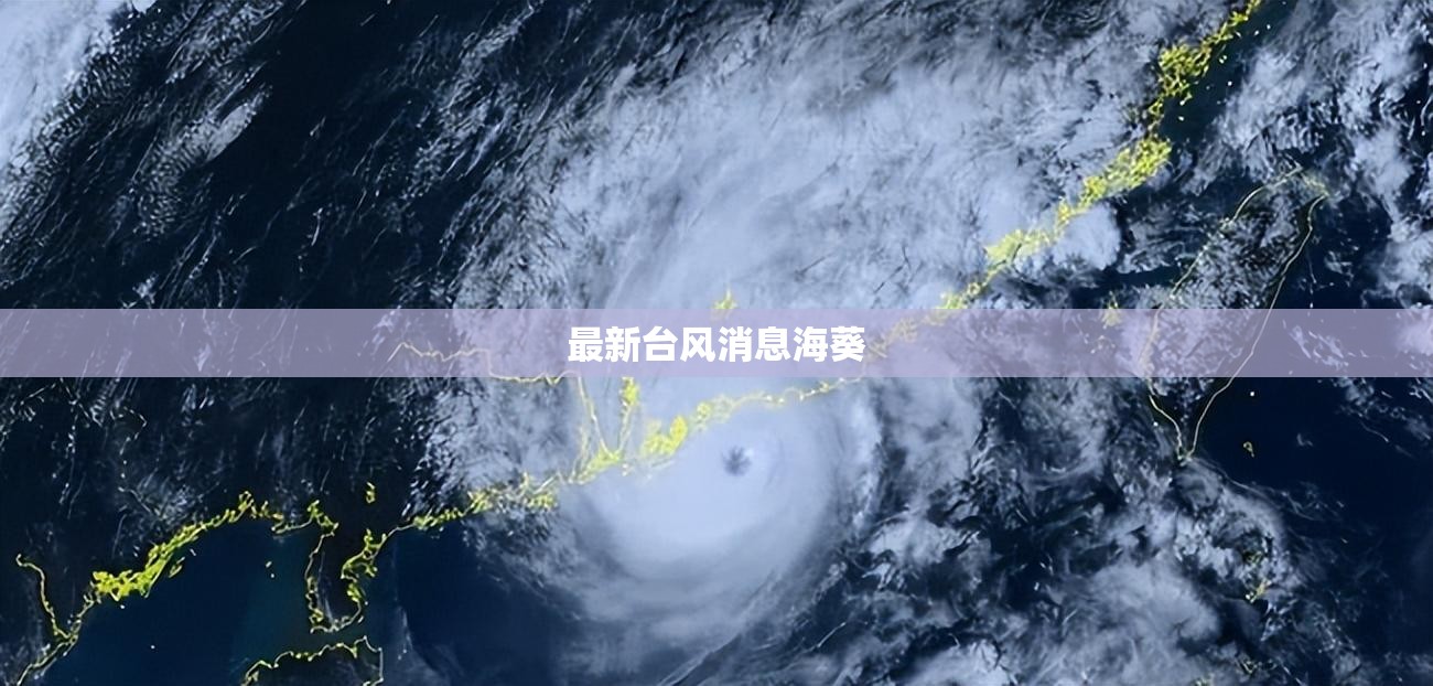 最新台风消息海葵(海葵 台风)