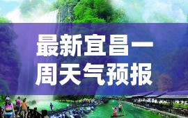 新款雷凌售11.58万起 双擎进取版最合适