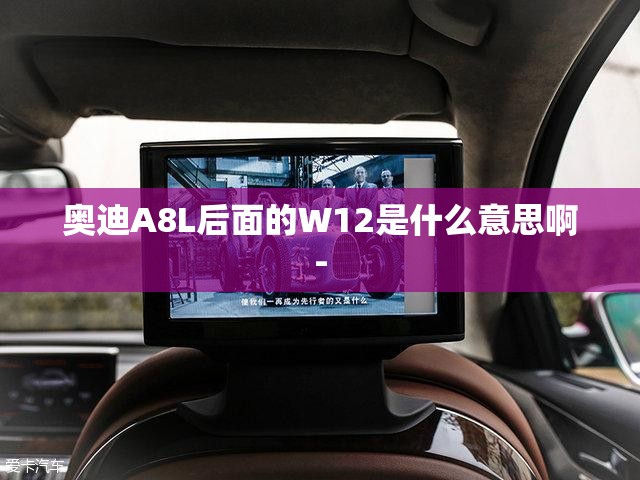 奥迪A8L后面的W12是什么意思啊- 奥迪A8L后面的W12是什么意思啊-