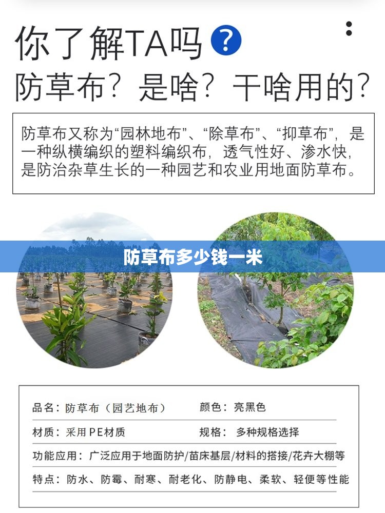名爵是哪个品牌旗下的车