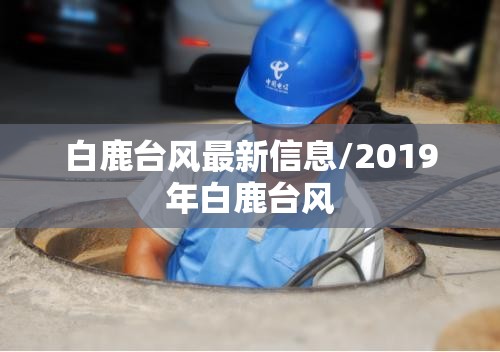 白鹿台风最新信息/2019年白鹿台风 白鹿台风最新信息/2019年白鹿台风