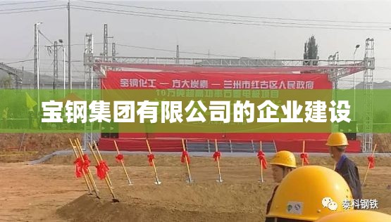 宝钢集团有限公司的企业建设 宝钢集团有限公司的企业建设