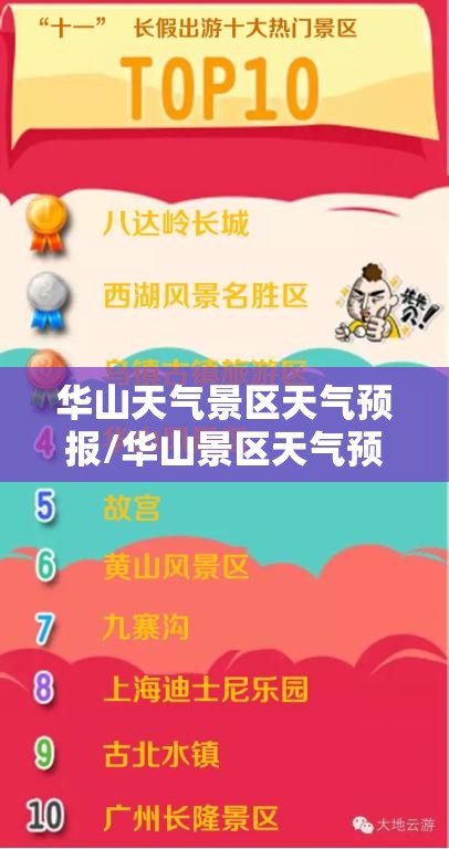 福特越野车有哪几款？