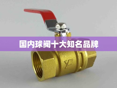 宝钢集团有限公司的企业建设