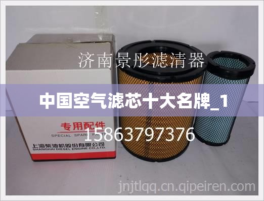 中国空气滤芯十大名牌_1