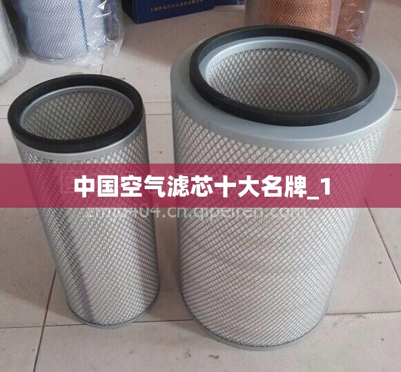 中国空气滤芯十大名牌_1