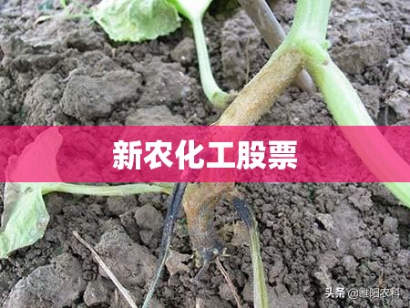 清苑县道唐县清虚山高速路线
