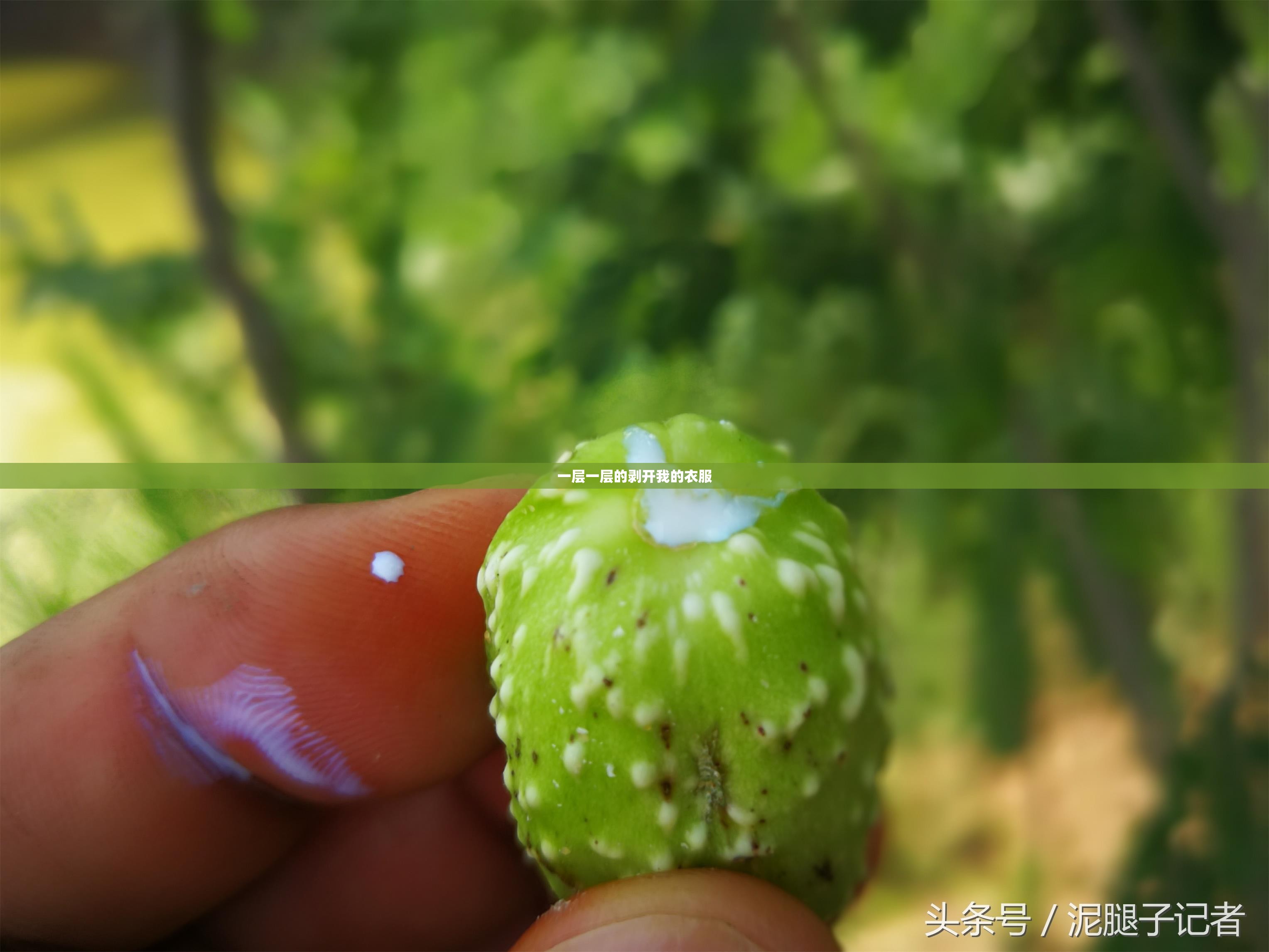 中国空气滤芯十大名牌_1