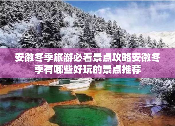 【新农化工股票,新农化工股份】