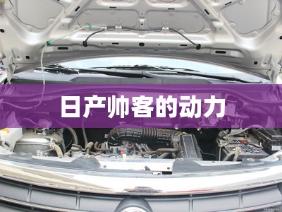 厦华电子公司的公司简介