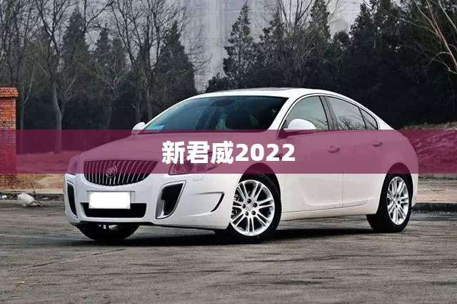 新君威2022(新君威2009款配置参数) 新君威2022(新君威2009款配置参数)