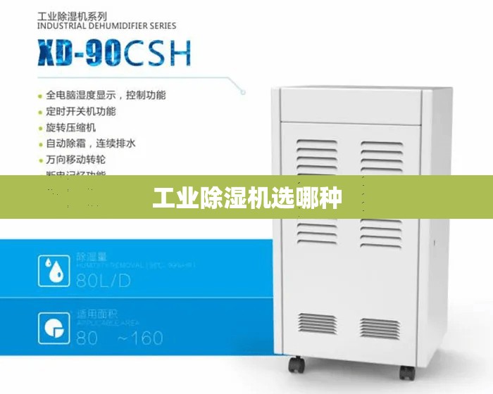 【龙口市,龙口市属于哪个市】