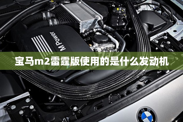 【新研股份最新消息业绩,新研股份股】