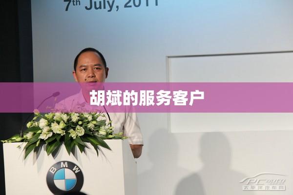 胡斌的服务客户 胡斌的服务客户