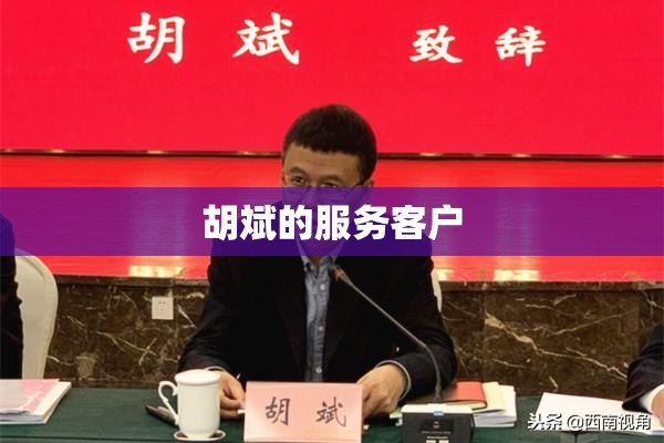 胡斌的服务客户 胡斌的服务客户