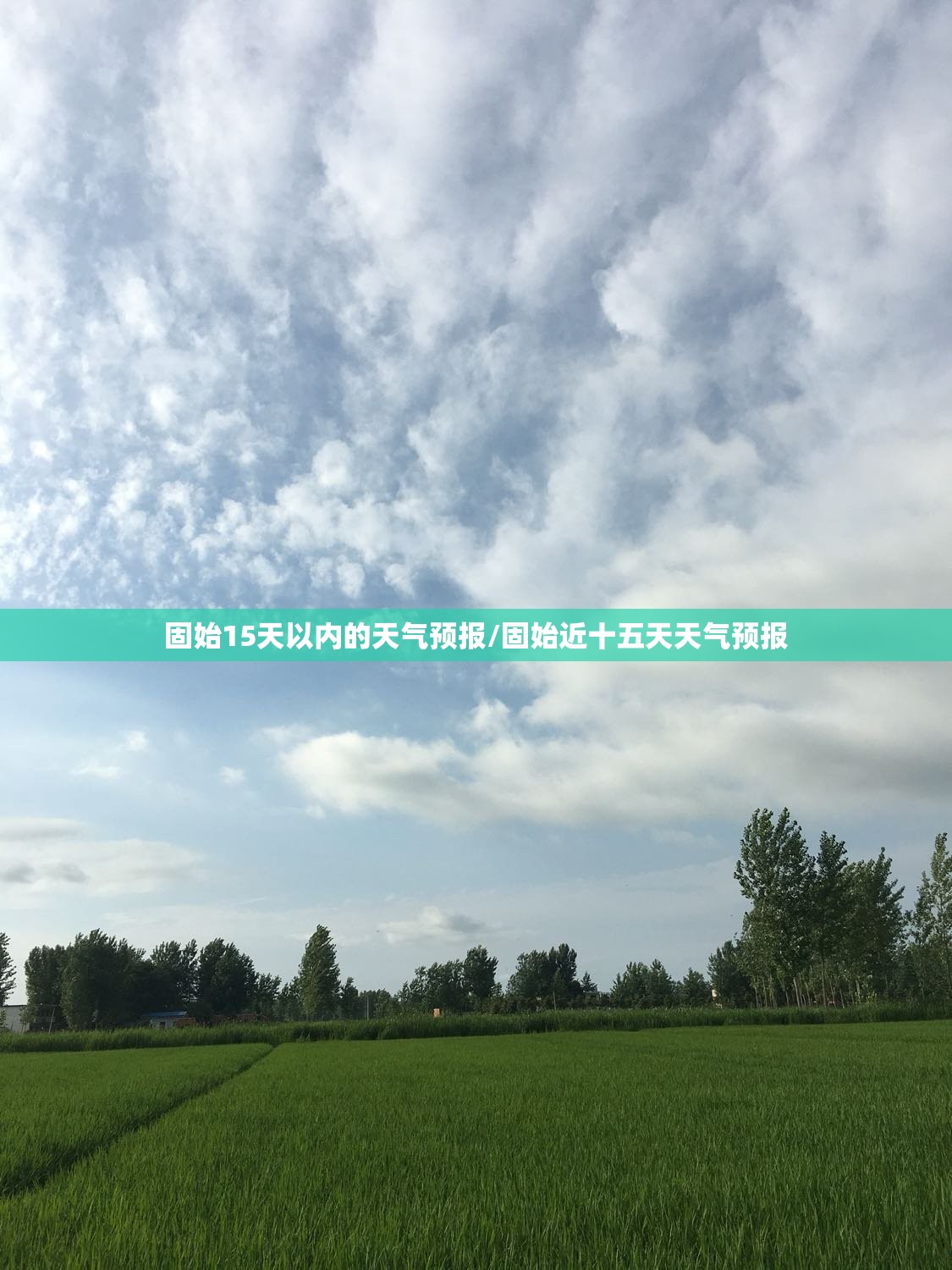 固始15天以内的天气预报/固始近十五天天气预报