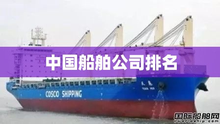 【中国船舶公司排名,中国船公司排名】