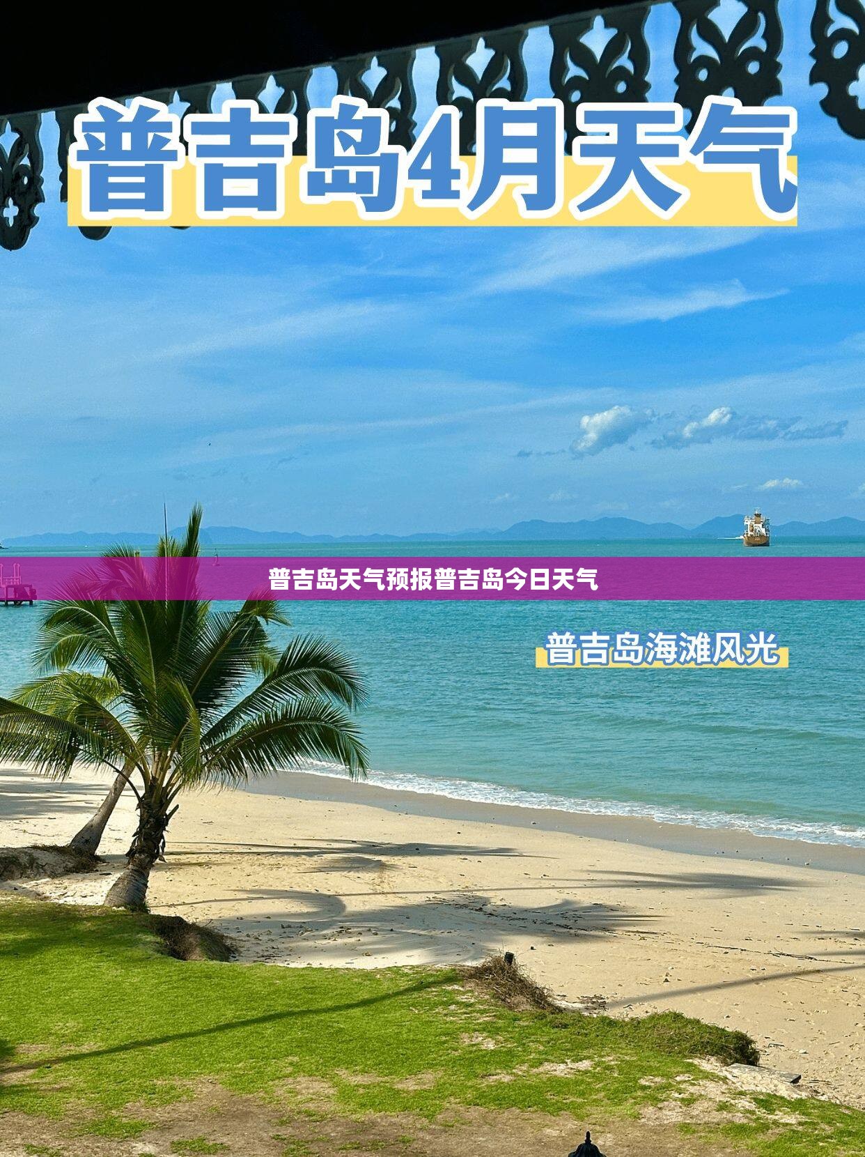 【中国船舶公司排名,中国船公司排名】