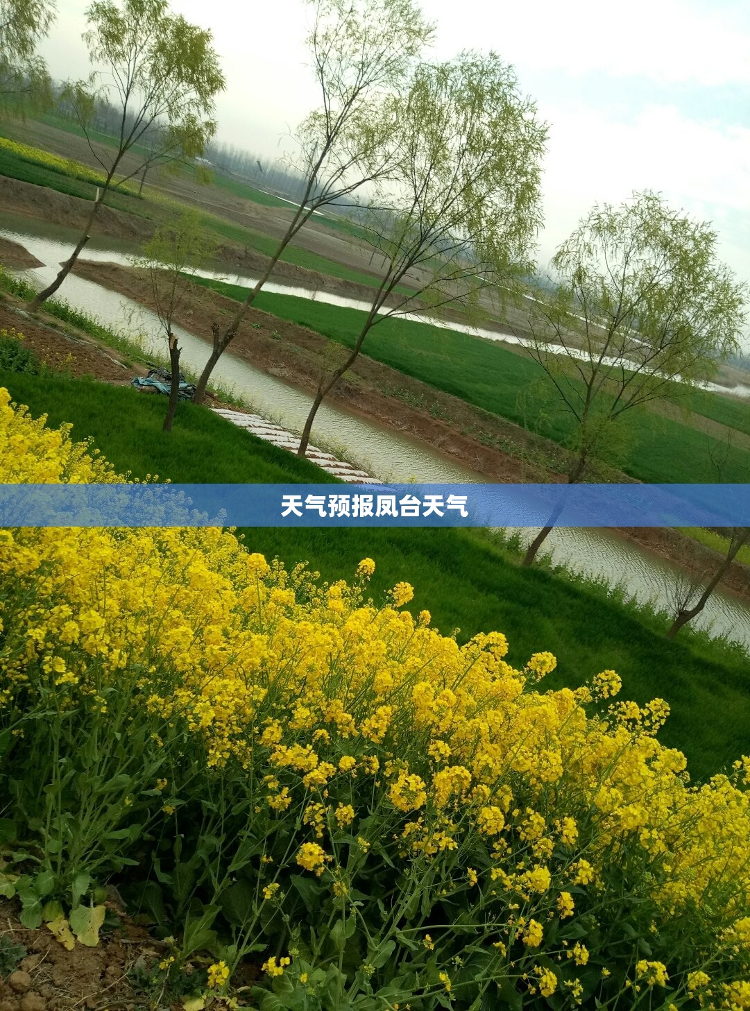 天气预报凤台天气(凤台天气凤台天气) 天气预报凤台天气(凤台天气凤台天气)