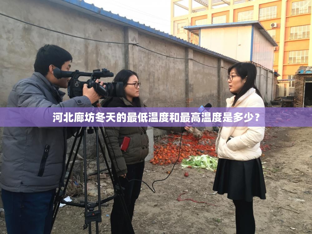 河北廊坊冬天的最低温度和最高温度是多少？