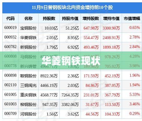 【300981,300981股票】
