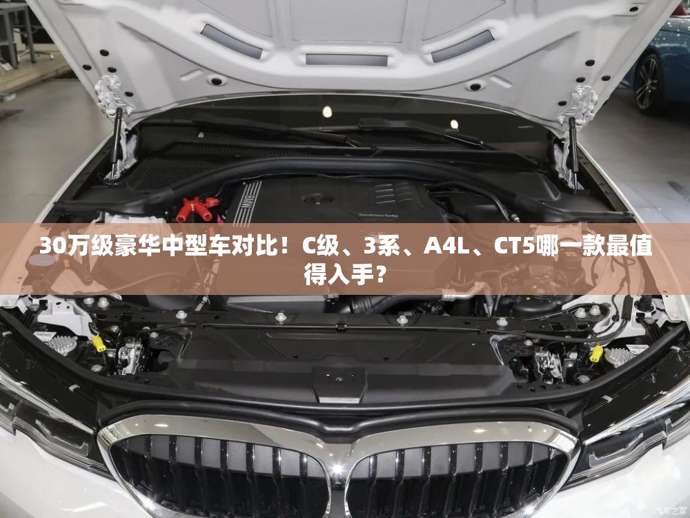 【300981,300981股票】