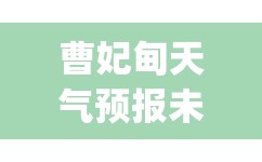 福特黑武士参数