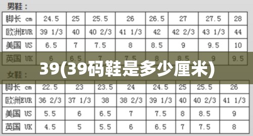 39(39码鞋是多少厘米)