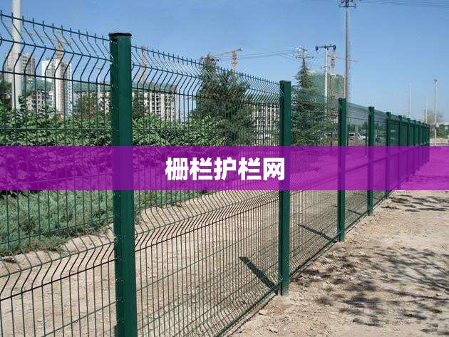 福特黑武士参数