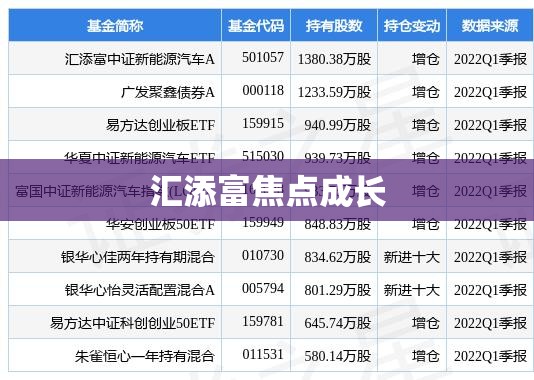 汇添富焦点成长(汇添富焦点成长混合基金净值)