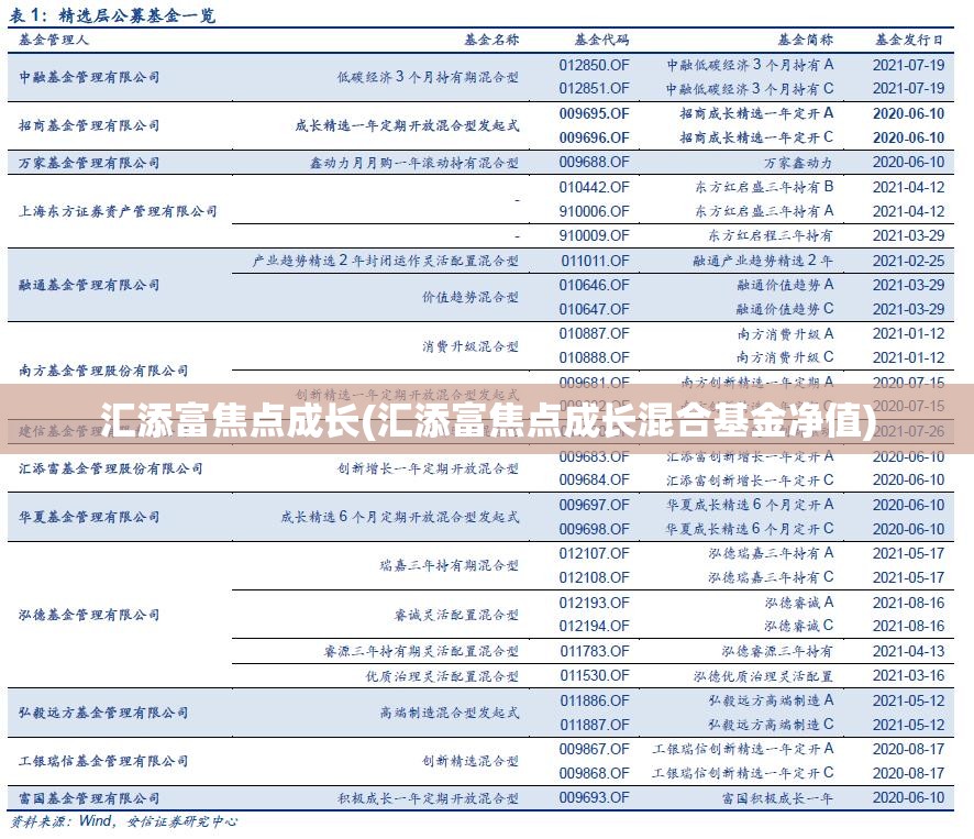 汇添富焦点成长(汇添富焦点成长混合基金净值)