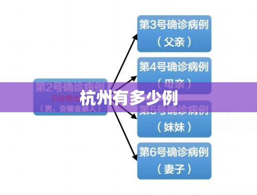 杭州有多少例