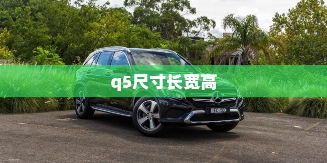 q5尺寸长宽高