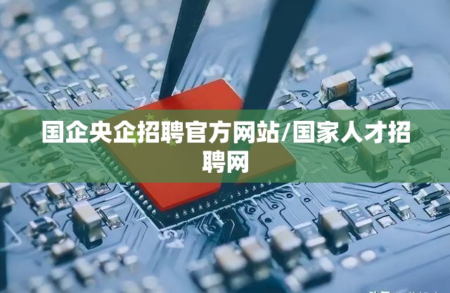 国企央企招聘官方网站/国家人才招聘网 国企央企招聘官方网站/国家人才招聘网