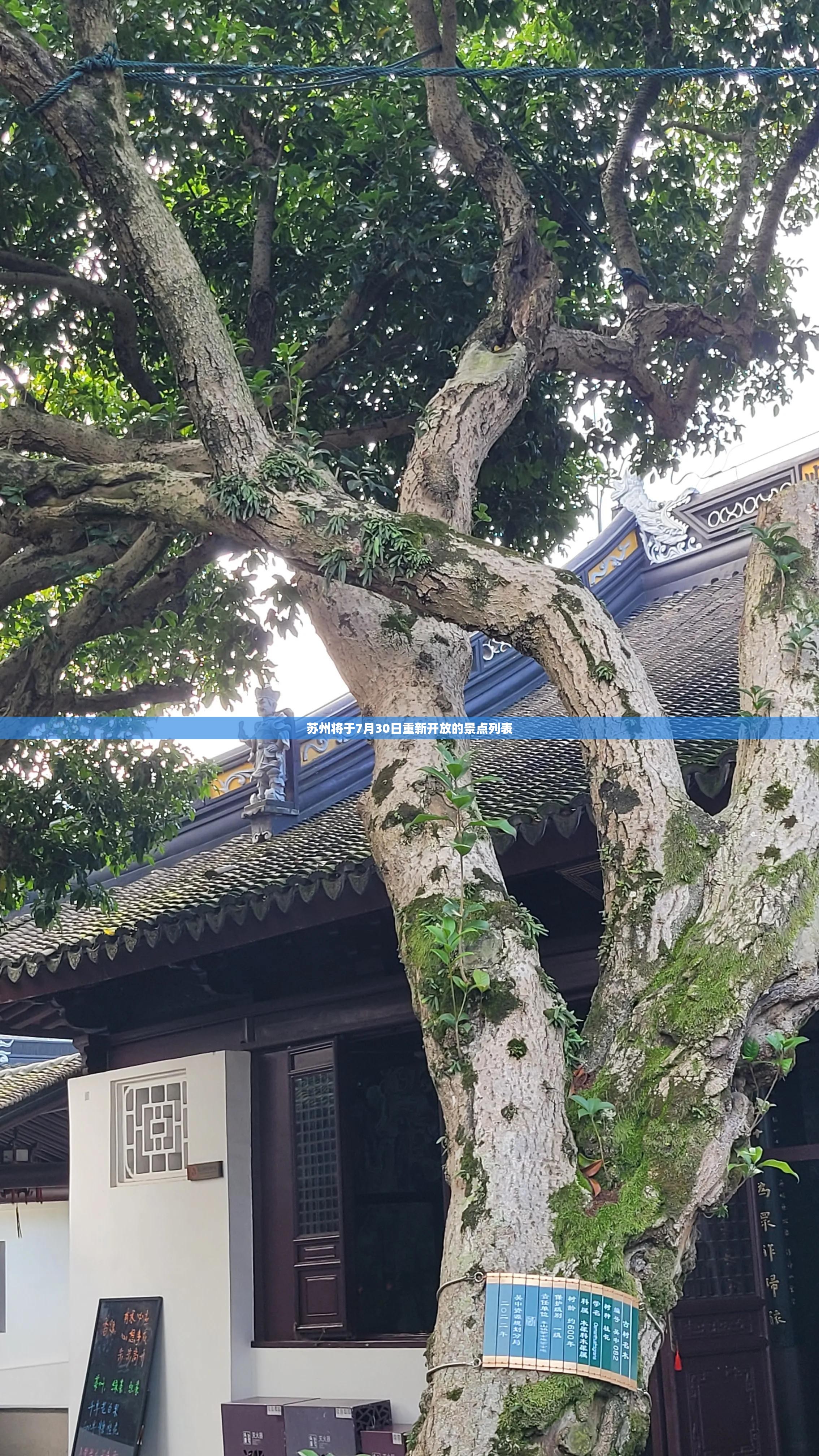 马自达的昂克赛拉出现烧机油解决方式