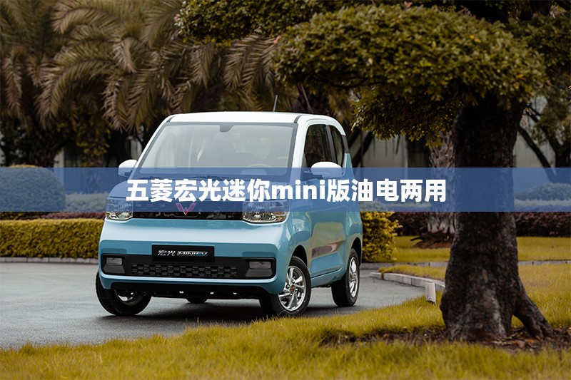 海马323多重/海马323自重多少吨