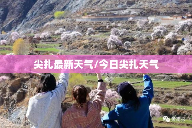 女式拖鞋夏款/女时尚拖鞋